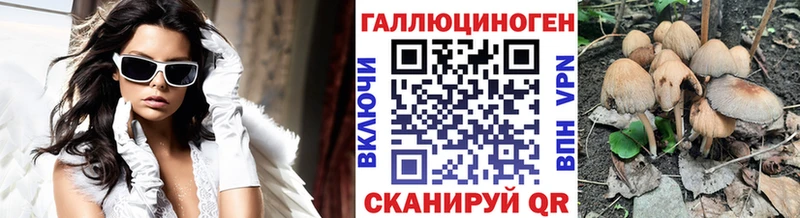 Галлюциногенные грибы Psilocybine cubensis  Купить где  Андреаполь 