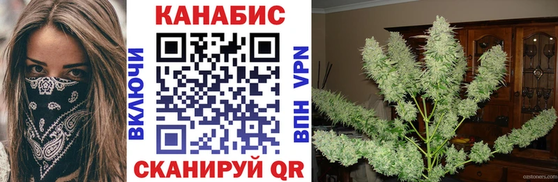 Купить  Андреаполь  Марихуана ГИДРОПОН 